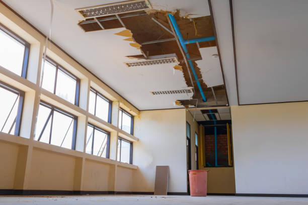 Best Water damage restoration near me  in Goshen, CA