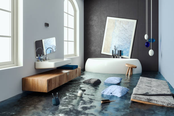 Best Mold removal after water damage  in Goshen, CA