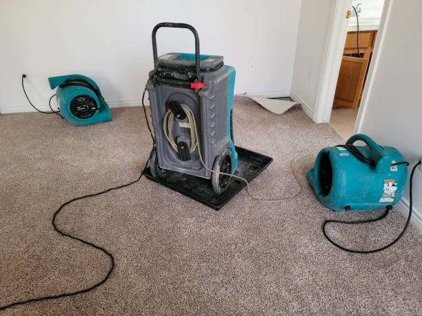 Best Water damage restoration near me  in Goshen, CA
