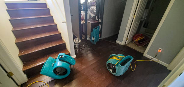 Best Sewage cleanup and water damage restoration  in Goshen, CA