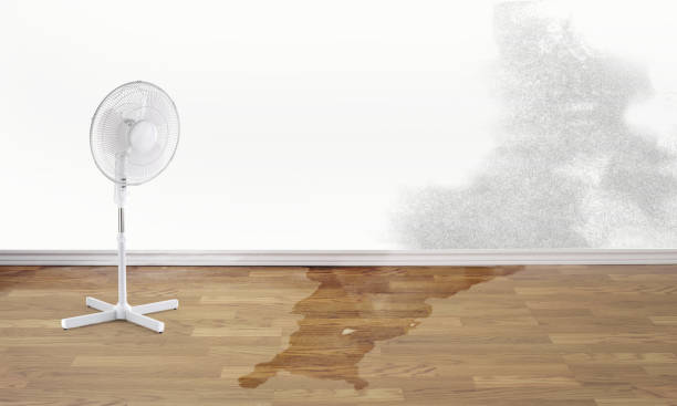 Best Commercial water damage restoration  in Goshen, CA