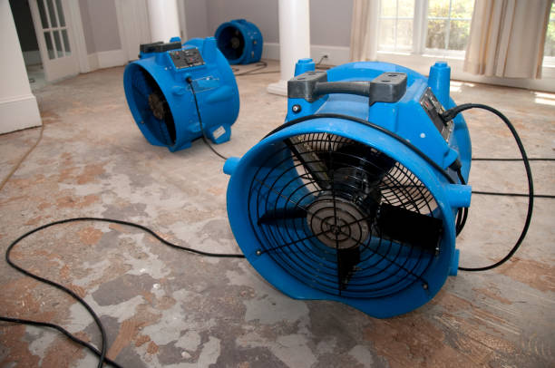 Best Residential water damage restoration  in Goshen, CA