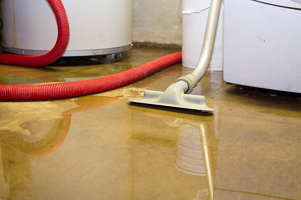 Best Flood restoration services  in Goshen, CA