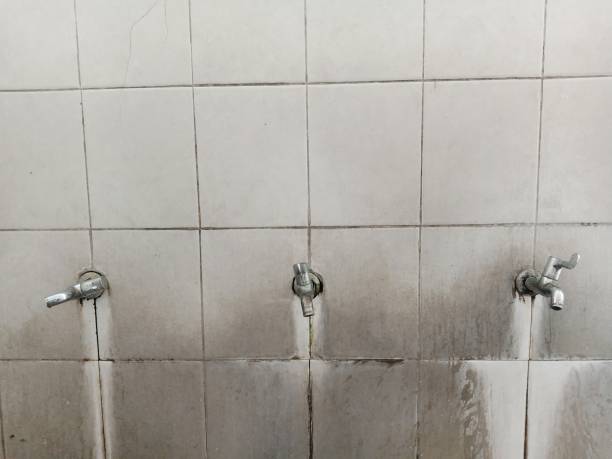 Best Flooded house restoration  in Goshen, CA