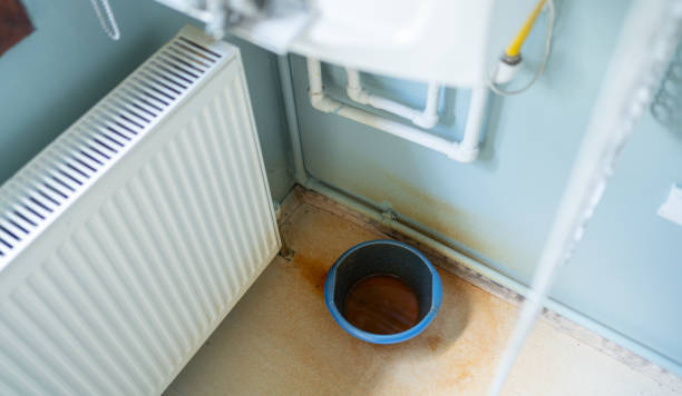 Best Basement water damage restoration  in Goshen, CA