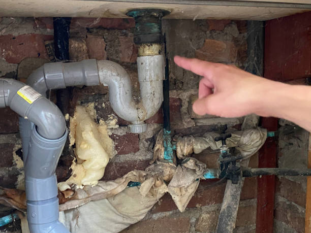 Best Water damage restoration process  in Goshen, CA