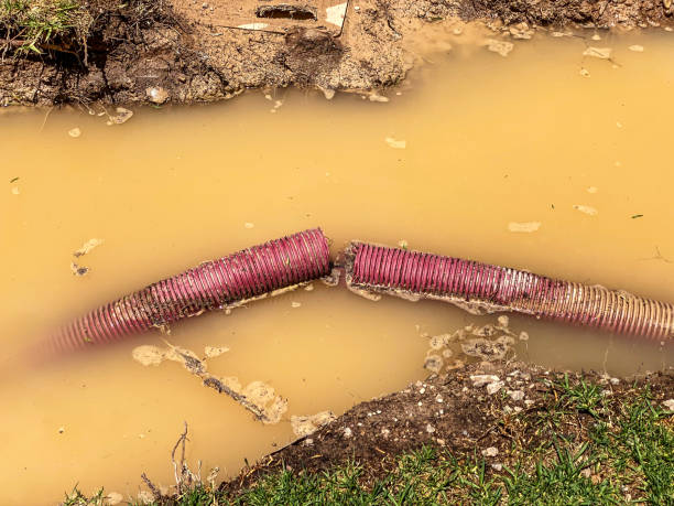 Best Water damage contractors near me  in Goshen, CA